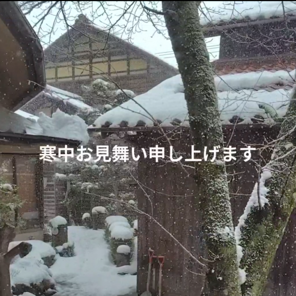 ご無沙汰です。